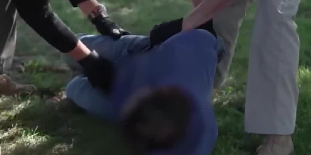 Landry says federal law enforcement has made Louisiana safer; Carter ...