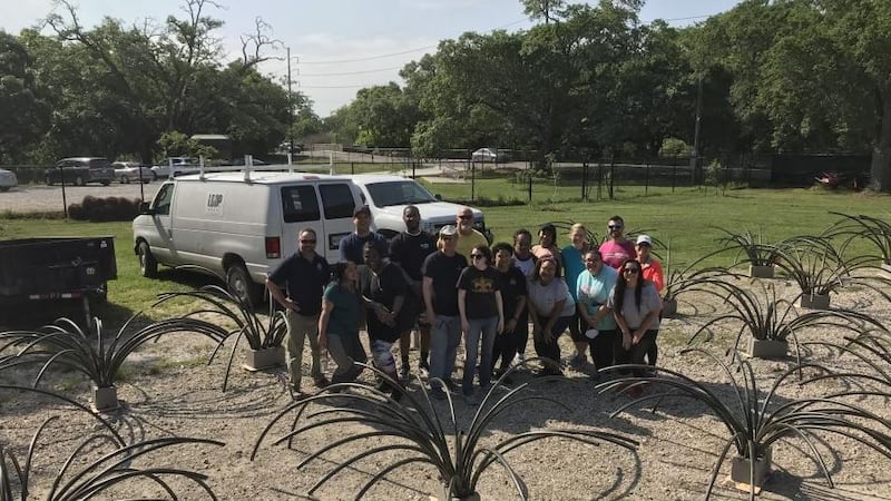 Work crews spread out 23 of the structures in City Park's lakes in April. (Source: LA Dept. of...