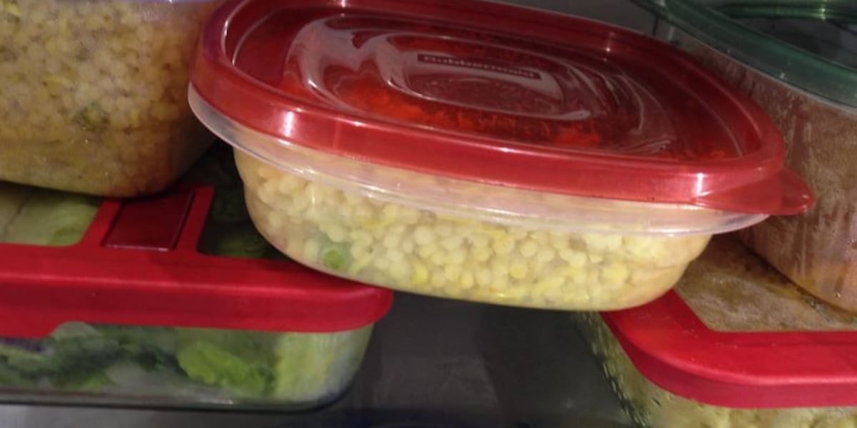 Report warns of plastic food container dangers