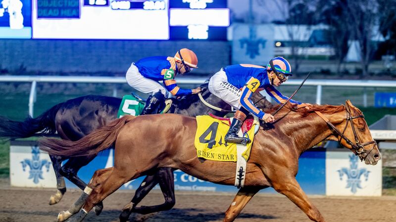 Remsen winner Paladin added another Derby prep title to his resume, surging in the final...