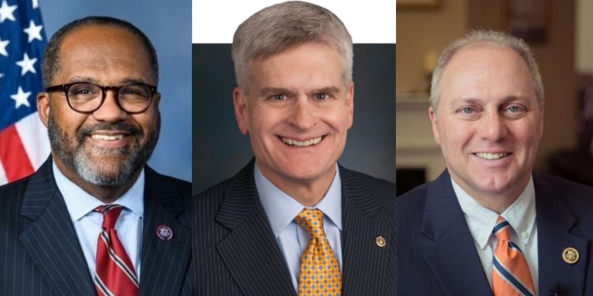 Louisiana lawmakers split on shutdown blame, urge quick resolution