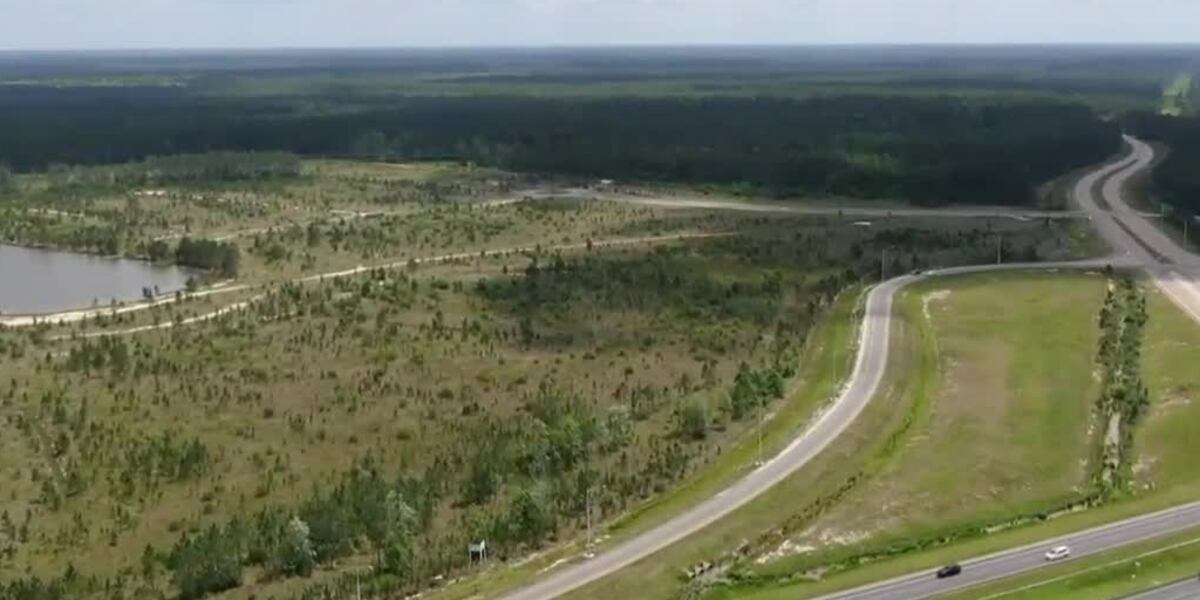 The Audubon Society goes to court in an effort to block new development The Audubon Society goes to court in an effort to block new development