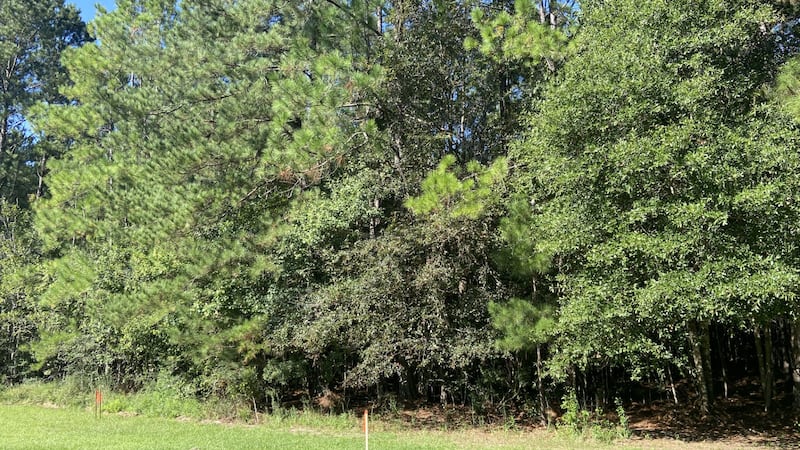 Tangipahoa Parish homeowner concerned about Entergy project feet from his backyard