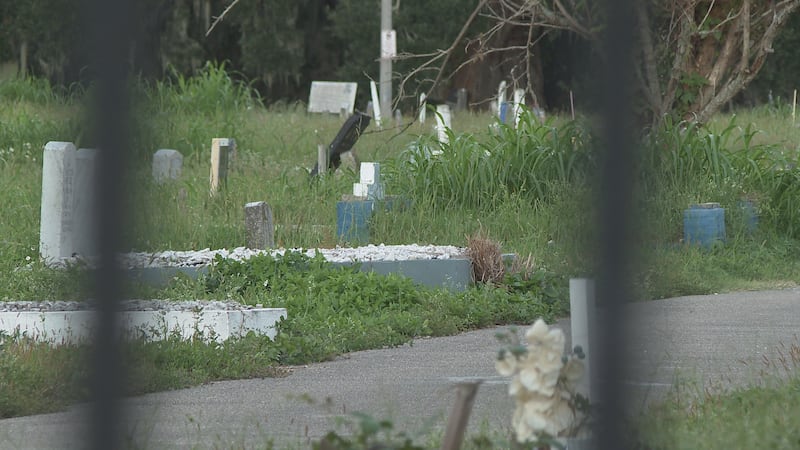 Grass overtakes Holy Cemetery in New Orleans.