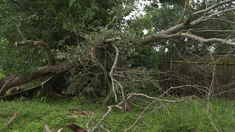 Officials warn of deadly electrical hazards as Arabi residents begin tornado cleanup.