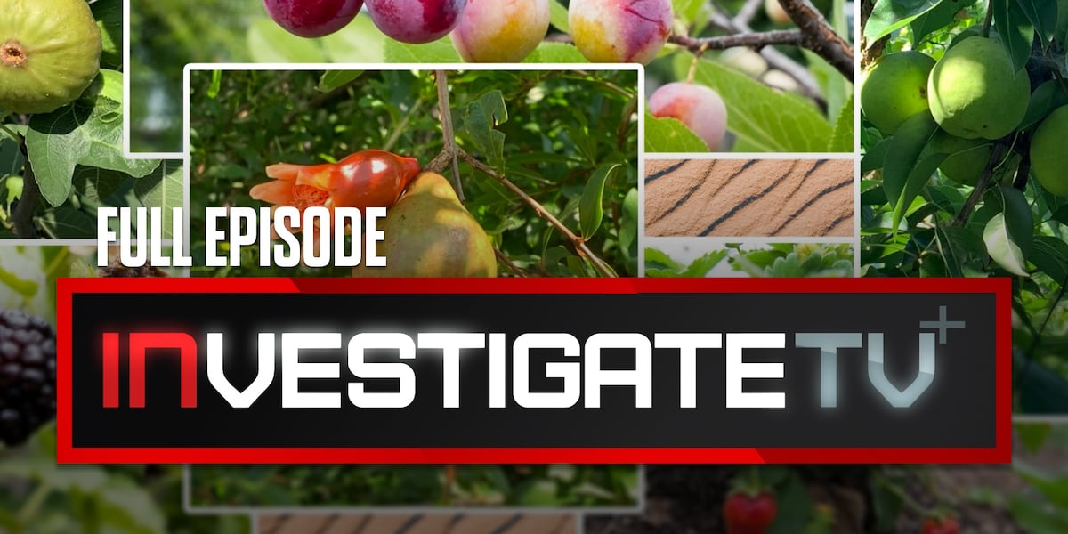 InvestigateTV+: The benefits of urban food forests