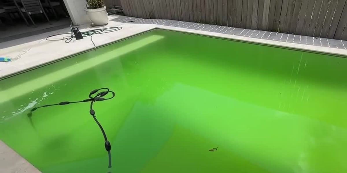Homeowners battle green pools as summer heat fuels algae growth
