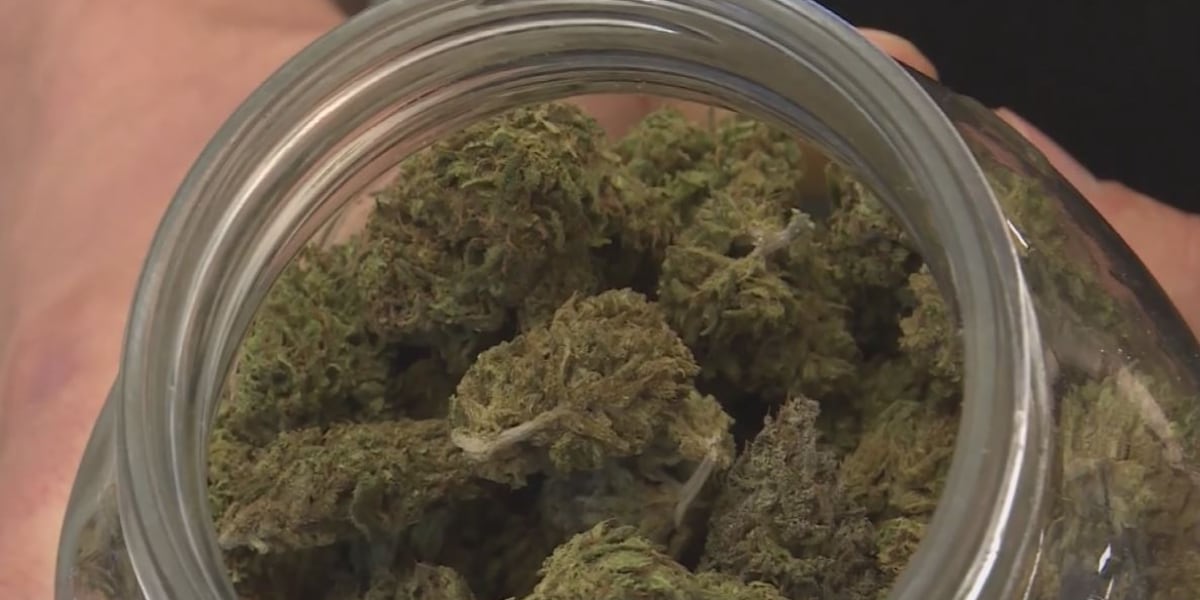 Louisiana lawmakers move to tighten rules on hemp product sales Louisiana lawmakers move to tighten rules on hemp product sales