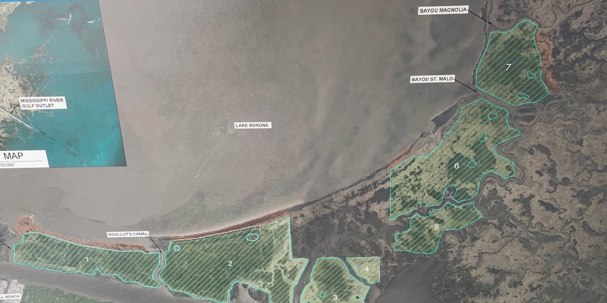Marsh Management Project State unveils largest marsh creation project ever along Lake Borgne