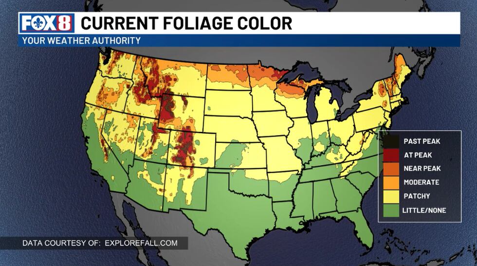 Fall foliage peaks in northern U.S. and mountain regions as leaves ...