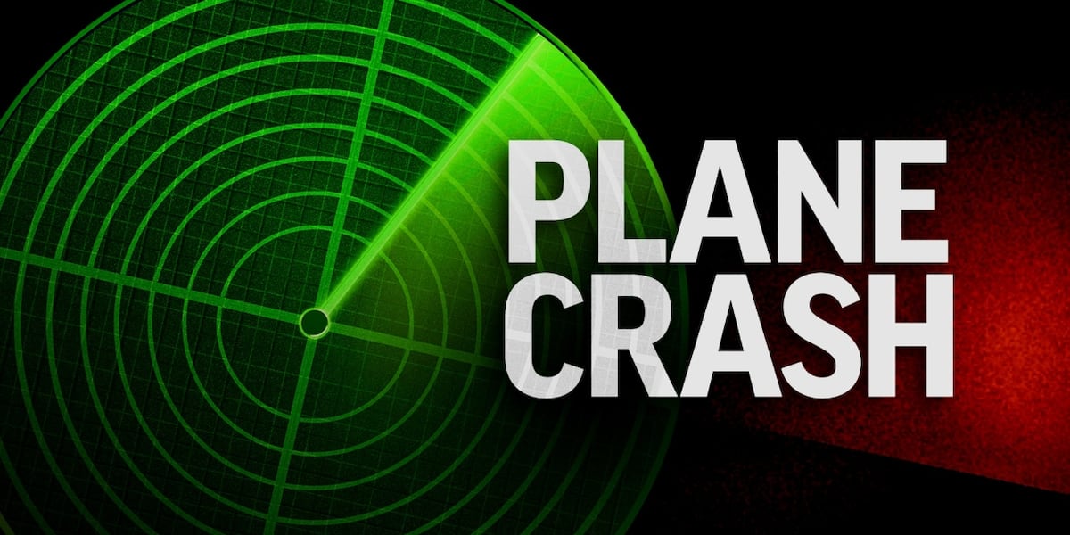 Coverage image for: Two killed in small plane crash near Bogalusa airport