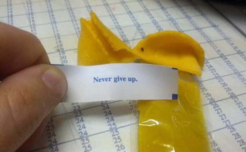 "Never give up" fortune cookie (Facebook)