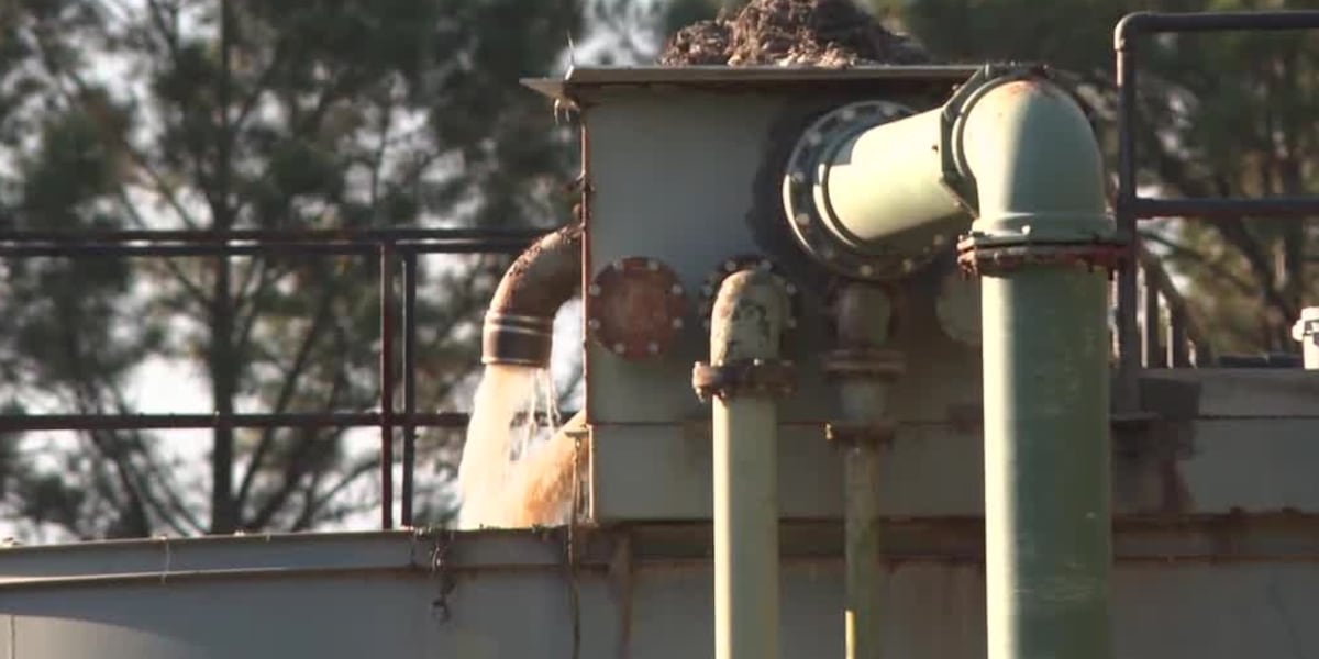 Northshore residents demand action on foul-smelling wastewater systems – fox8live.com