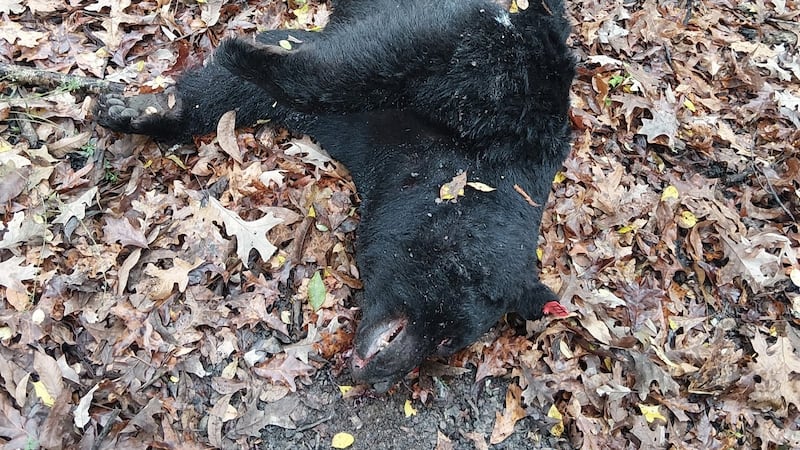 A reward of up to $3,500 is being offered to anyone with information that leads to a...