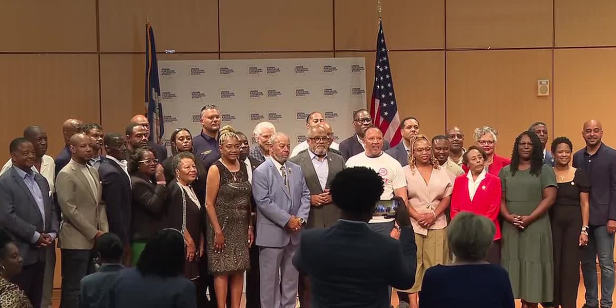 Louisiana Democratic leaders hold 4th of July summit over congressional map, voting rights