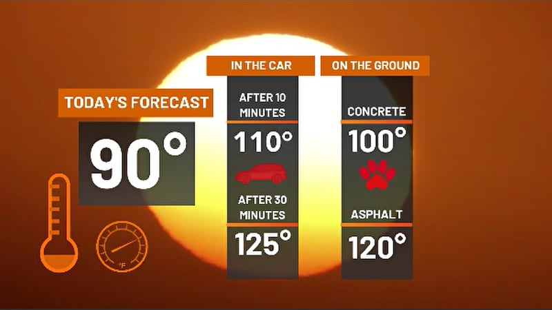 Measuring asphalt temperature: tools and tips