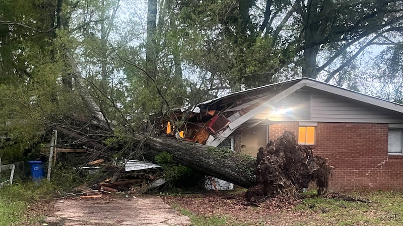 Home suffers damage from fallen tree on Dixie Drive in Hammond after wind storms produce...