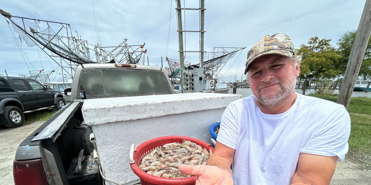 Diesel prices push Louisiana shrimpers to the brink as costs soar