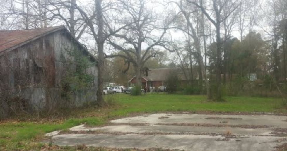 Daryl Lynn Hill, 63, fatally shot her brother in her Amite home. (Source: Amite Resident)