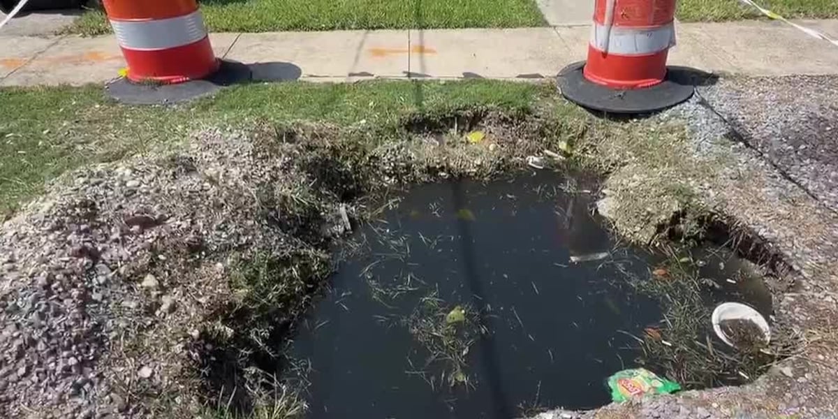‘That is sewage': Hollygrove residents say hole has gone unfixed for months