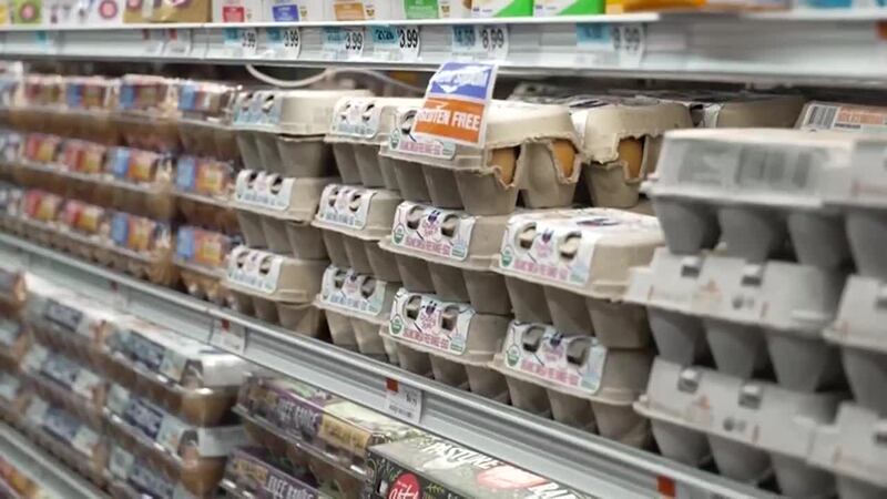 Federal officials launch investigation into Mexican tall ship that