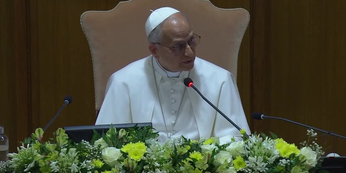 Pope Leo warns of AI fueling warfare in first major theological document - fox8live.com
