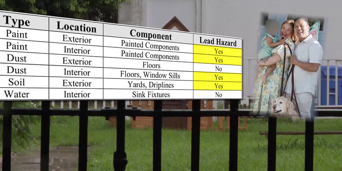 Algiers family sues daycare, landlords, and LDH over daughter’s lead poisoning