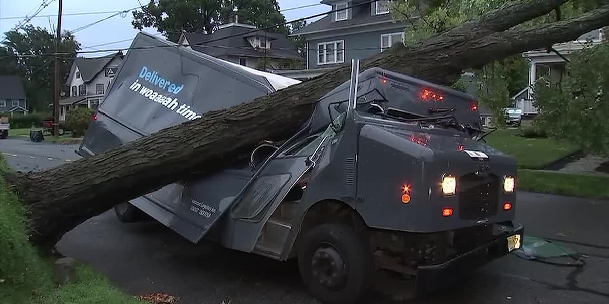 Massive tree comes crashing down on Amazon delivery truck, trapping worker inside
