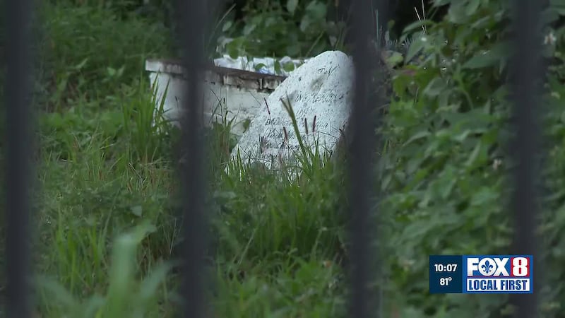 Families raise concerns over neglect at Holt Cemetery as preservationists push restoration...