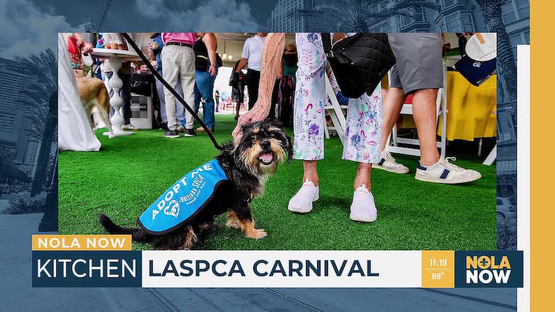 Get ready to pawty with a purpose with the return of Louisiana's SPCA's Carnival.