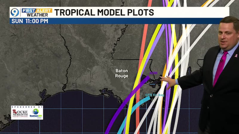 A tropical depression is likely to form in the Gulf this week.