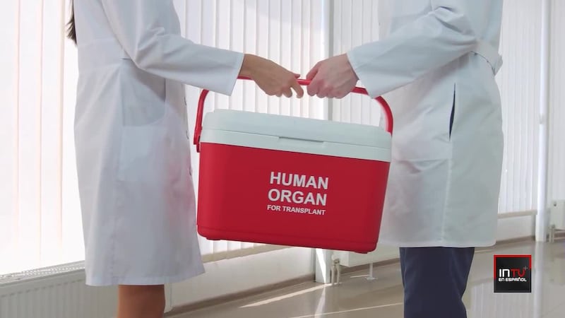 El destino de los órganos donados que no se usan